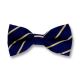 Midnight Blue and Harvest Gold Polyester Striped Butterfly Bow Tie