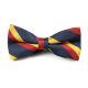 Chilli Pepper, Midnight Blue and Harvest Gold Polyester Striped Butterfly Bow Tie