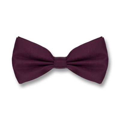 Plum Purple Polyester Solid Skinny Bow Tie