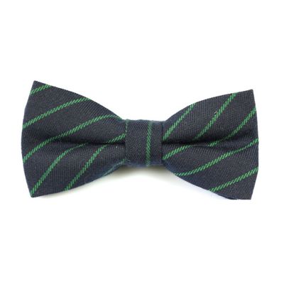 Midnight Blue and Frog Green Cotton Striped Butterfly Bow Tie