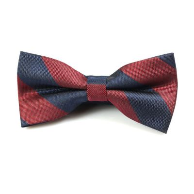 Midnight and Midnight Blue Polyester Striped Butterfly Bow Tie
