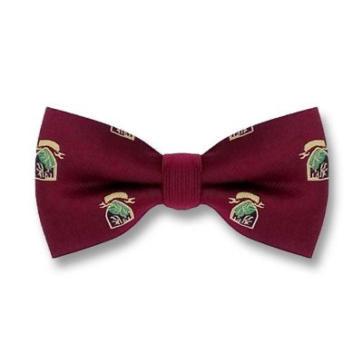 Firebrick, Blanched Almond, Green Thumb and Black Polyester Novelty Butterfly Bow Tie