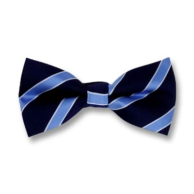 Midnight Blue, Blue Ribbon and White Polyester Striped Butterfly Bow Tie