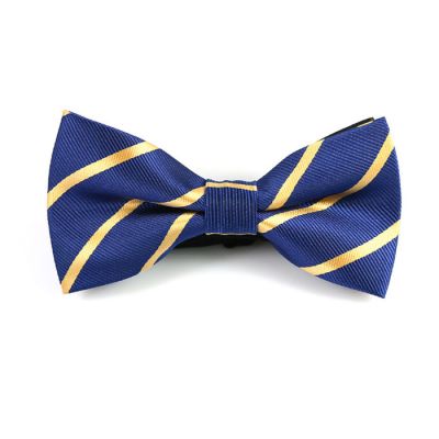 Sapphire Blue and Mustard Polyester Striped Butterfly Bow Tie