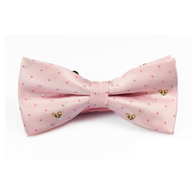 Misty Rose, Brown and Saffron Polyester Novelty Butterfly Bow Tie